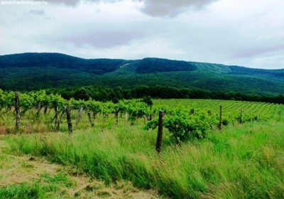 CREATOR: gd-jpeg v1.0 (using IJG JPEG v80), default quality