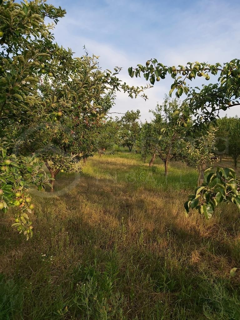 Építési telek eladó közvetítőtől – Kistokaj