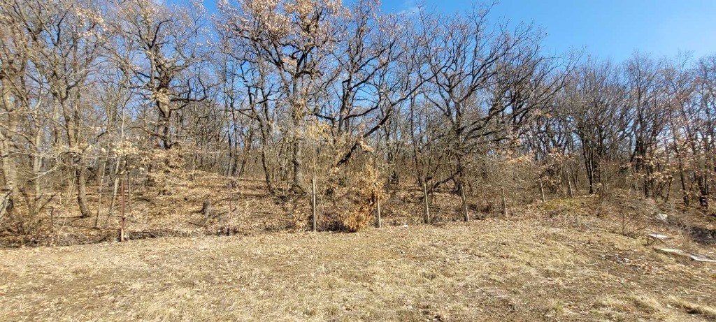 Építési telek eladó közvetítőtől – Miskolctapolca