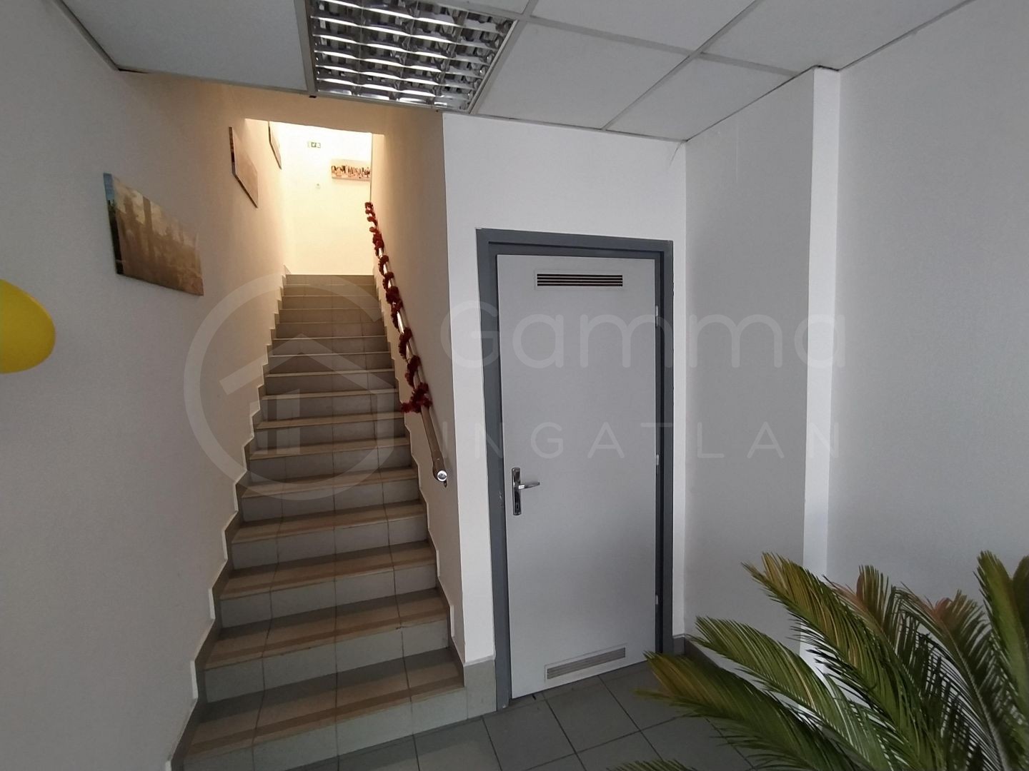 Iroda-üzlet-vendéglátóegység eladó közvetítőtől – Miskolc