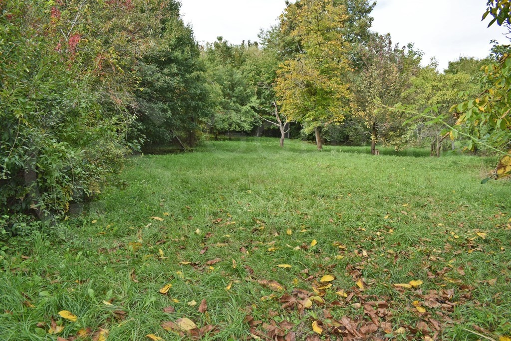 Ipari ingatlan-raktár-csarnok eladó közvetítőtől – Miskolc