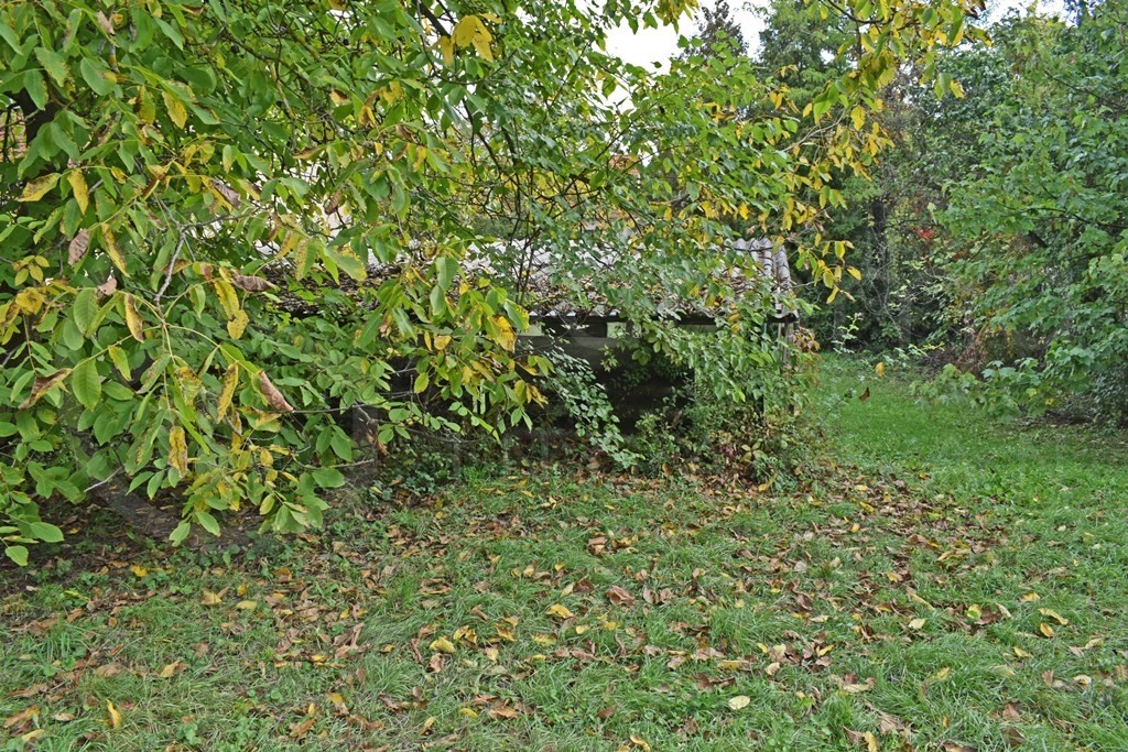 Ipari ingatlan-raktár-csarnok eladó közvetítőtől – Miskolc