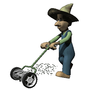 Fűnyírást, pázsitgondozást, kertfenntartást vállalok!