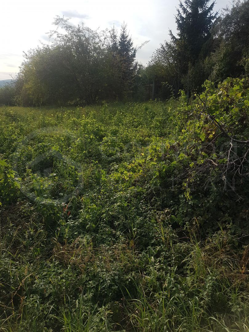 Építési telek eladó közvetítőtől – Miskolc