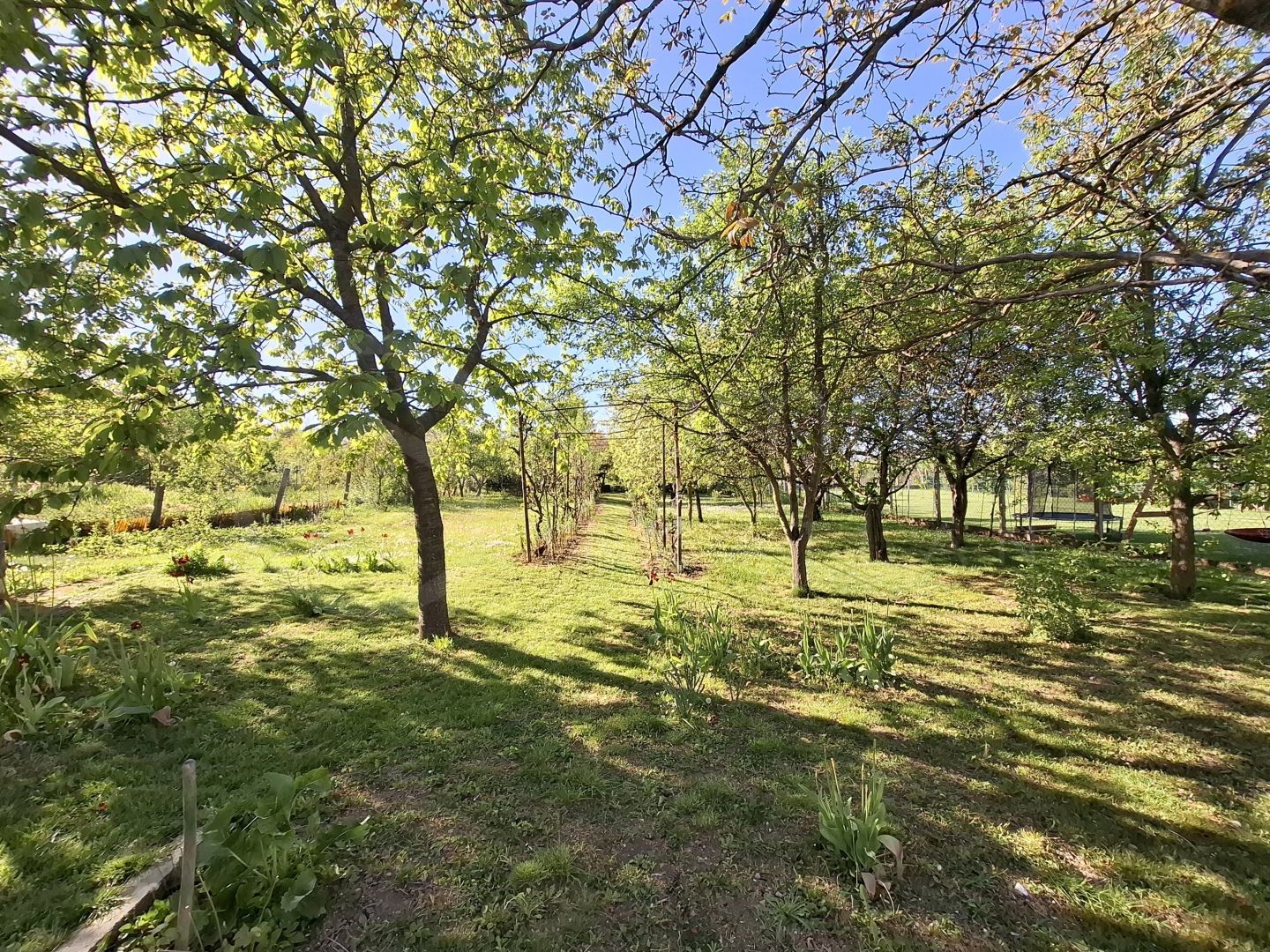 Ház-családi ház eladó – 4 szoba – Miskolc