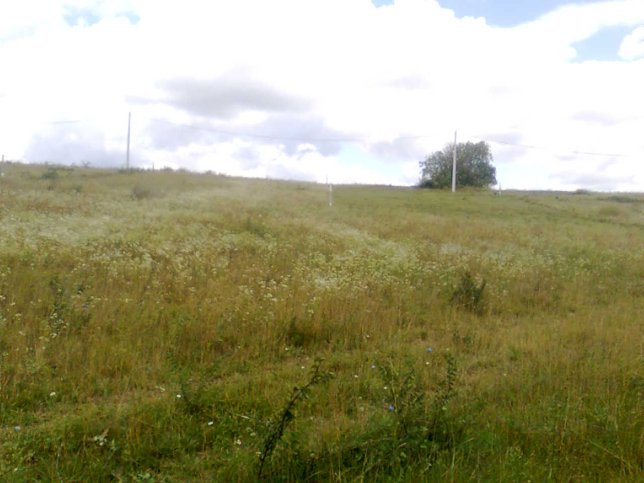 Föld-hétvégi telek-kert eladó tulajdonostól – Őrbottyán