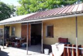 Mezőgazdasági ingatlan eladó tulajdonostól – Cserkeszőlő