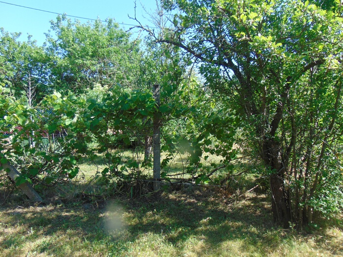 Ház-családi ház eladó – 1 szoba – Győr
