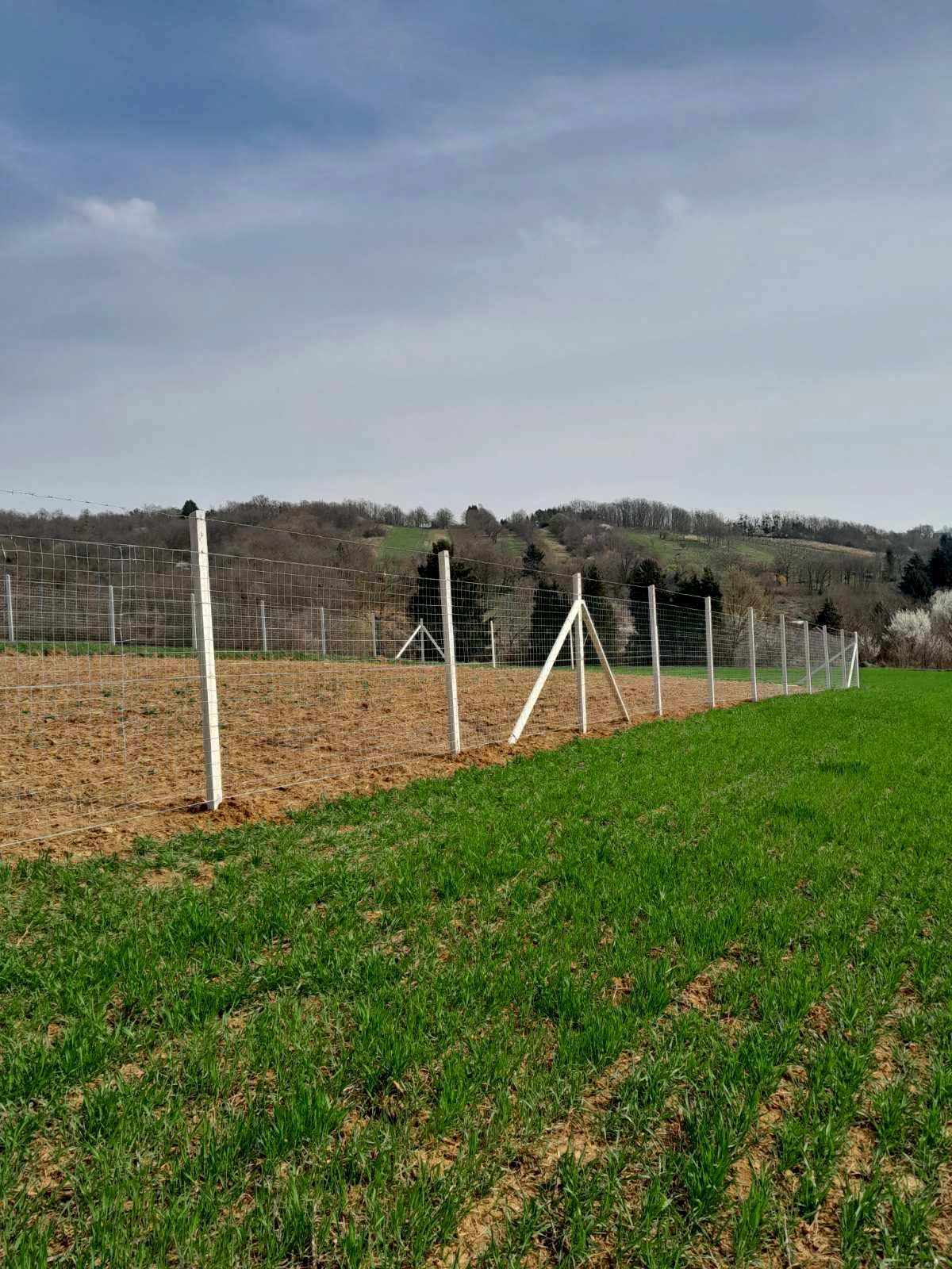 Vadháló, drótfonat, drótháló, oszlop, kapu, kerítés drót, kerítésépítés