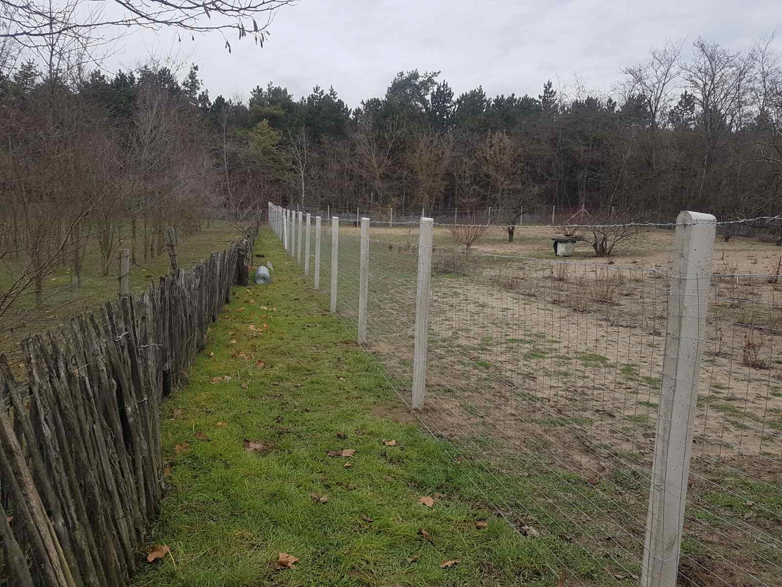 Kerítésépítés gond nélkül, bomba áron!