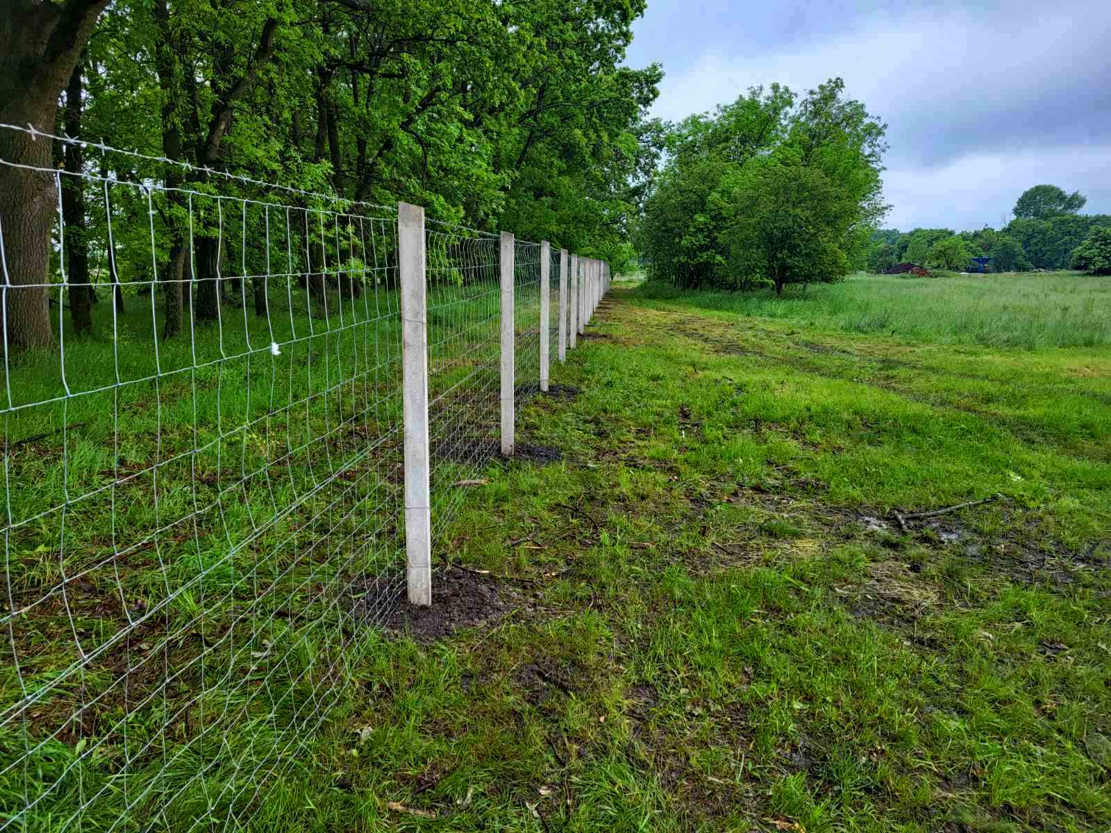 Vadháló, kerítésépítés, oszlop, kapu, drótkerítés, drótháló