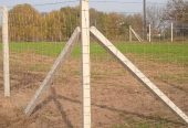 Vadháló, kerítésépítés, oszlop, kapu, drótkerítés, drótháló