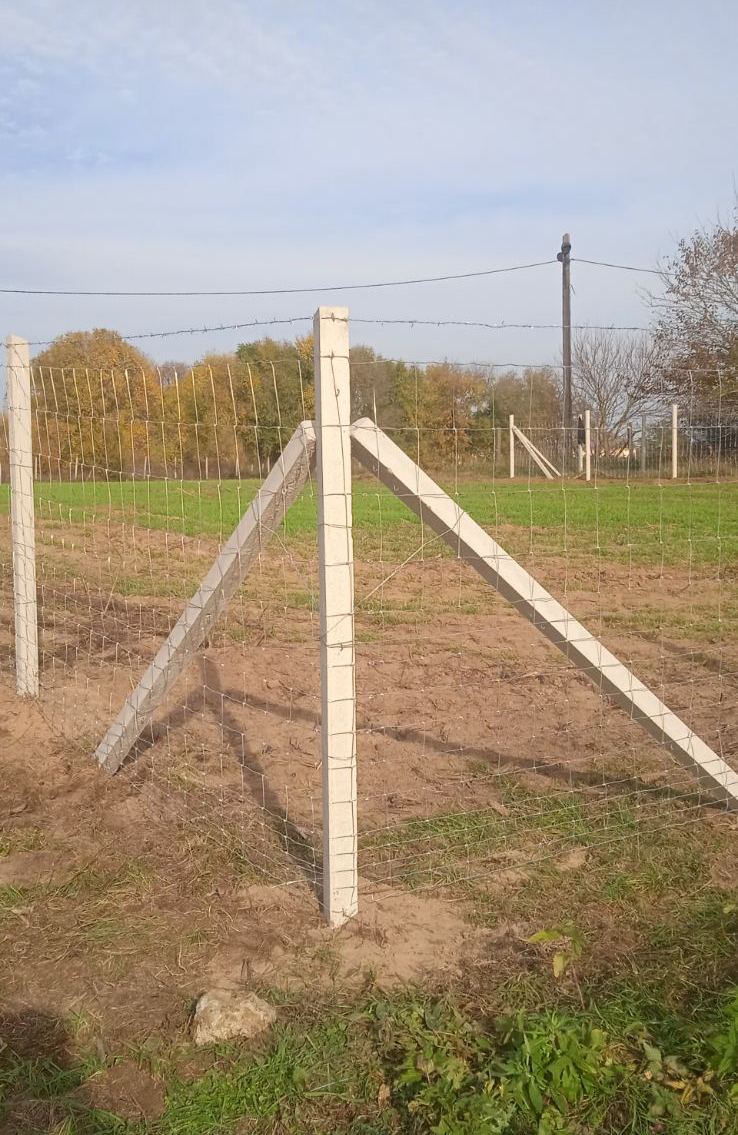 Vadháló, kerítésépítés, oszlop, kapu, drótkerítés, drótháló